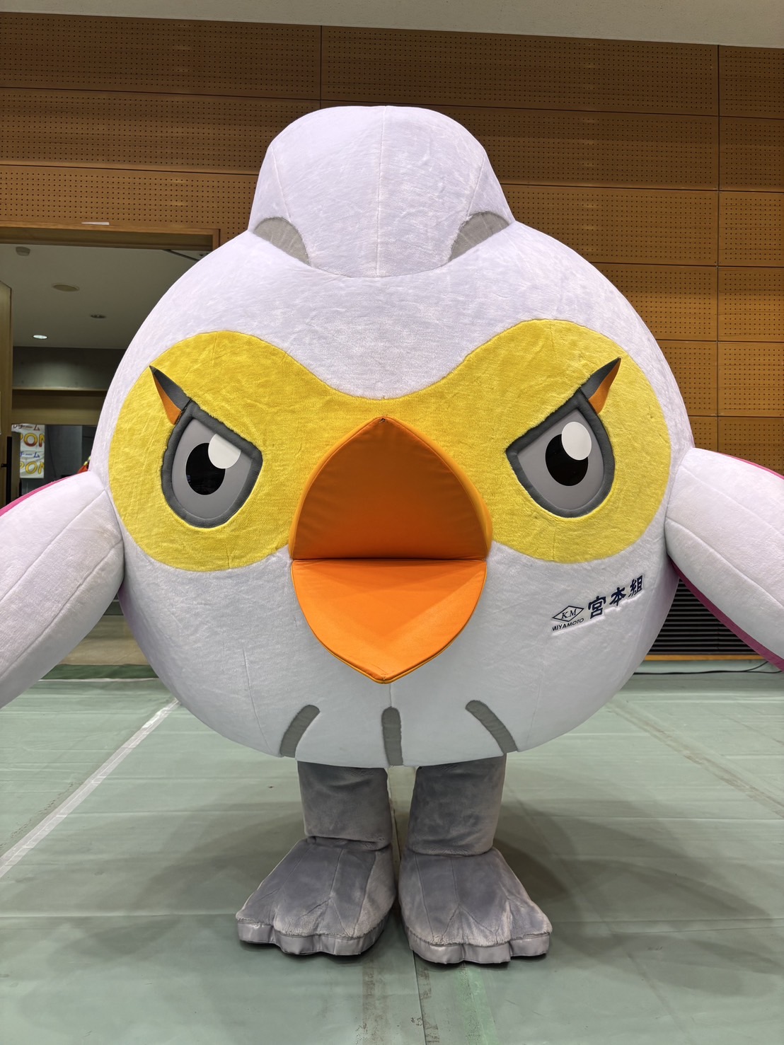 ヴィック