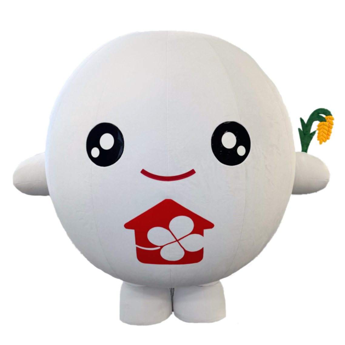 おこめたん