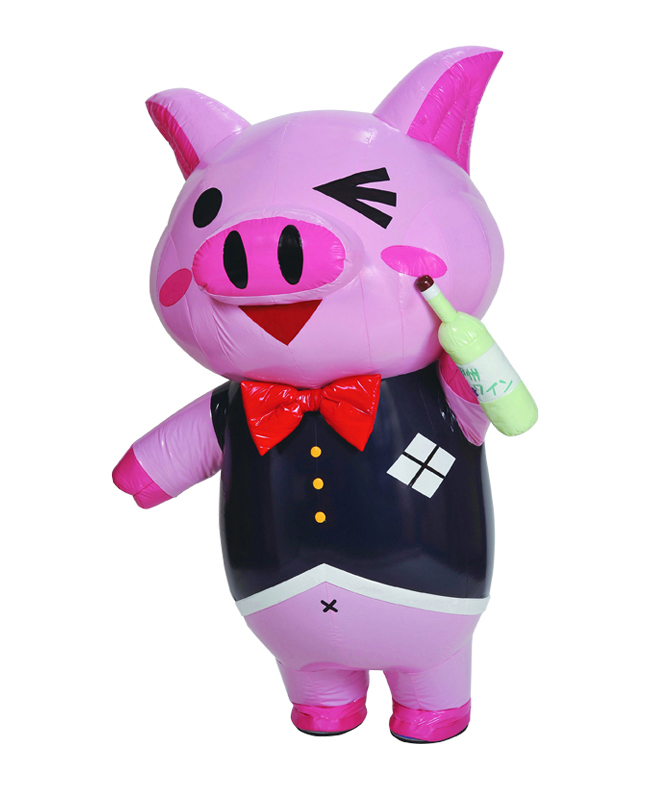 ナムキャラ応援団 山梨県担当団員 トントンちゃん