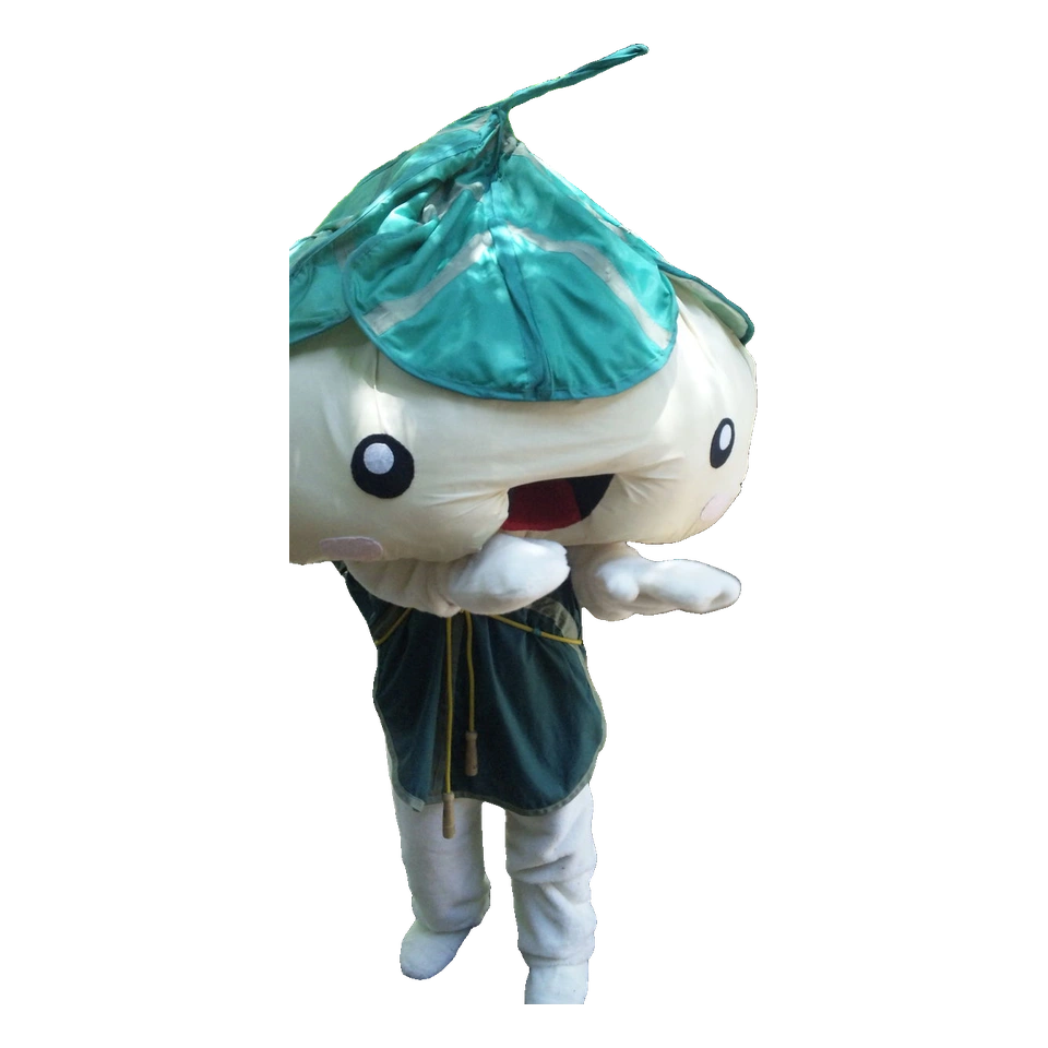 Ho-chan
