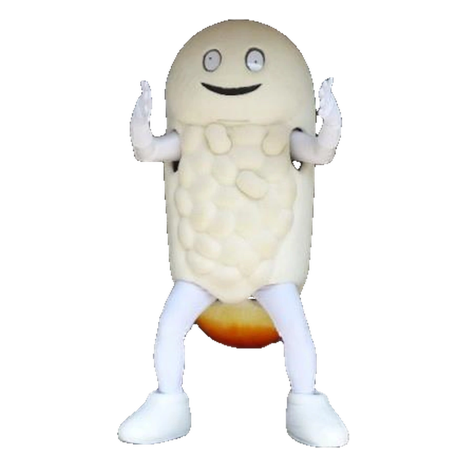 Zūshī Hokki