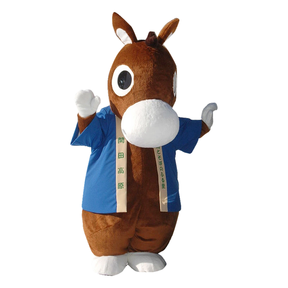 Kisokko