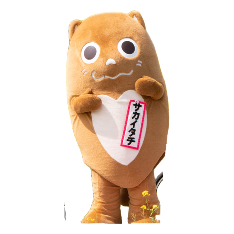 Sakaitachi