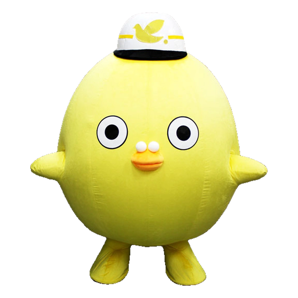 Fujimocchi